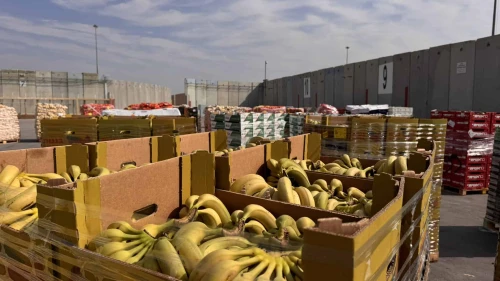 Humanitarian aid destined for the Gaza Strip, January 2025. Source: @cogatonline/X.