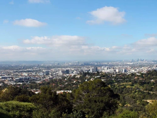 Los Angeles View