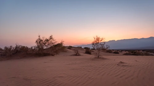 The Sands of Samar, a dune expanse in the Arava region of southern Israel, near Eilat, on Aug. 30, 2019. Photo by Mila Aviv/Flash90.