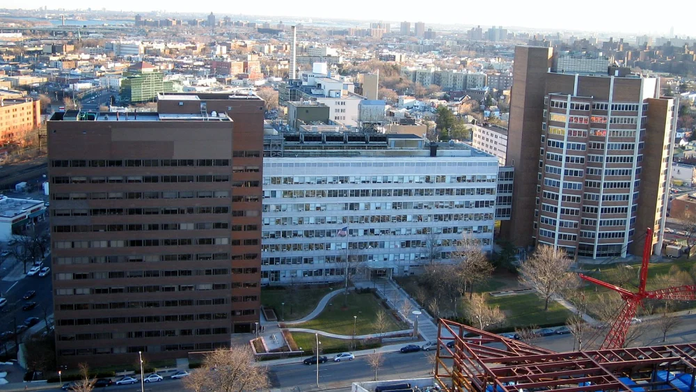 Albert Einstein College of Medicine