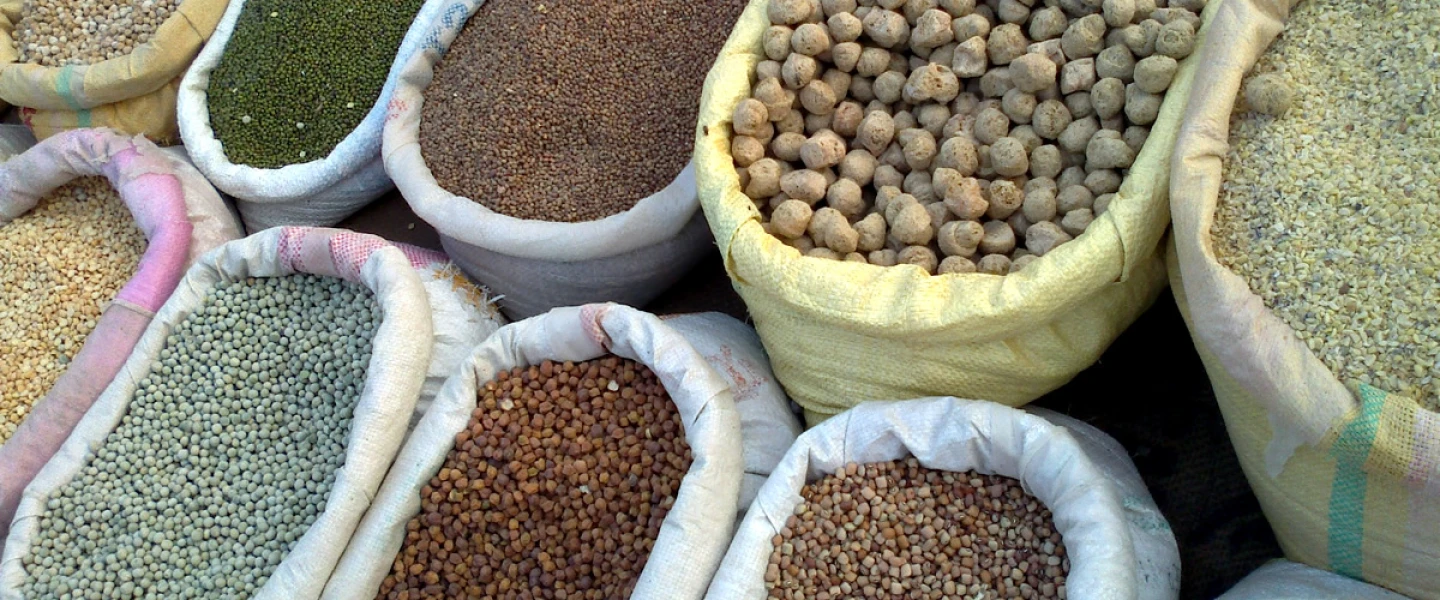 Grains are included in the traditional dairy dishes associated with the holiday of Shavuot. Credit: Wikimedia Commons.