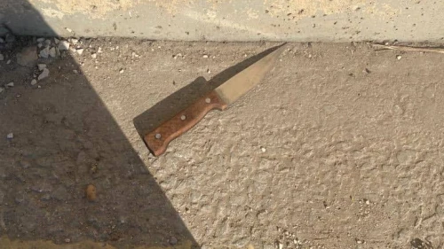 The knife carried by the terrorist at the Gilboa crossing in northern Samaria. Credit: Israel Defense Ministry.