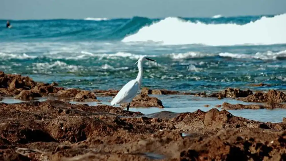 A photo taken by Daniel. Credit: Courtesy.