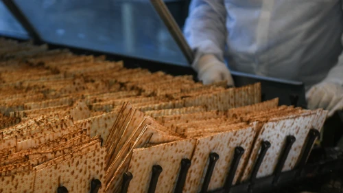 Workers prepare matzah ahead of the Passover holiday at the Aviv matzah plant in Bnei Brak on April 14, 2019. Photo by Flash90.