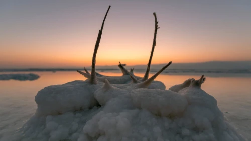 View of salt formations on the Dead Sea shore, July 7, 2020. Photo by Mila Aviv/Flash90.