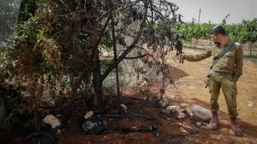 An Israeli soldier stands next to a cherry orchard that was set on fire and vandalized overnight in Kfar Etzion on May 23, 2018. Photo by Gershon Elinson/Flash90.