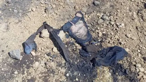 The scene of the airstrike near Beit Jinn, Syria, in the foothills of Mount Hermon, according to the Syrian opposition.