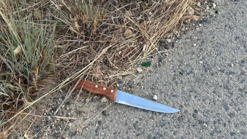 An attempted stabbing was thwarted at the Eshtemoa Junction bus stop in the South Hebron Hills region of Judea, Aug. 1, 2023. Credit: IDF.
