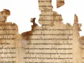 Portion of the Temple Scroll, labeled 11Q19, one of the longest of the Dead Sea Scrolls dating back to the second-century C.E. Credit: Israel Museum, Jerusalem.
