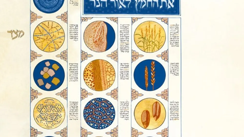 Moss Haggadah