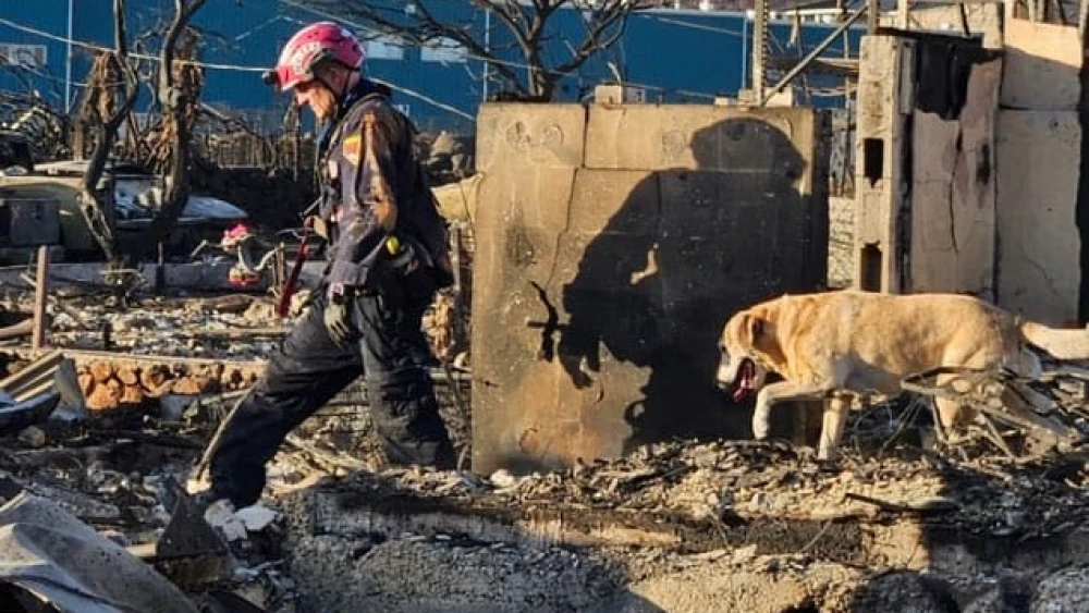 The aftermath of the Hawaii fires. Credit: U.S. Fire Administration via Twitter.