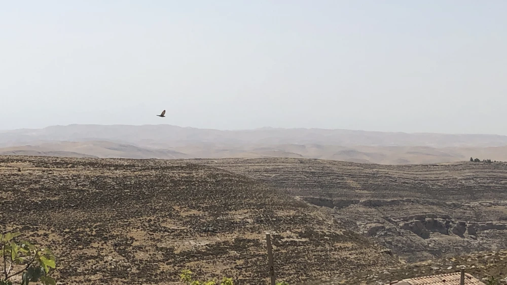 A look at the landscape surrounding Arugot Farms. Photo by Josh Hasten.