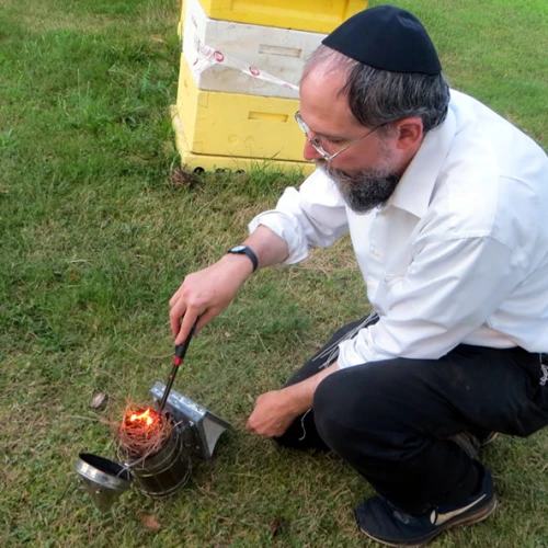 Rabbi Avraham Laber, co-director of Chabad-Lubavitch of Southern Rensselaer County in New York, uses smoke to calm honey bees before opening a hive. Photo by Carin M. Smilk.