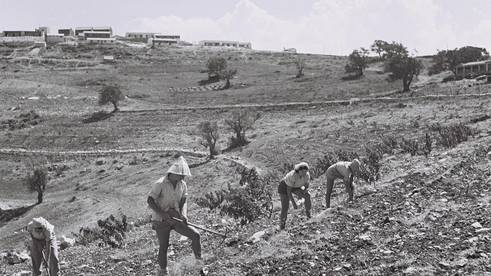 Miembros del kibutz Manara plantan árboles frutales en la ladera, septiembre 30, 1946. Crédito: National Photo Collection of Israel, vía Wikimedia Commons.