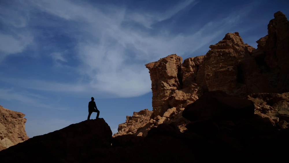 Nahal Hava in the Negev Desert in southern Israel, Jan. 30, 2026. Photo by Yaniv Nadav/Flash90.