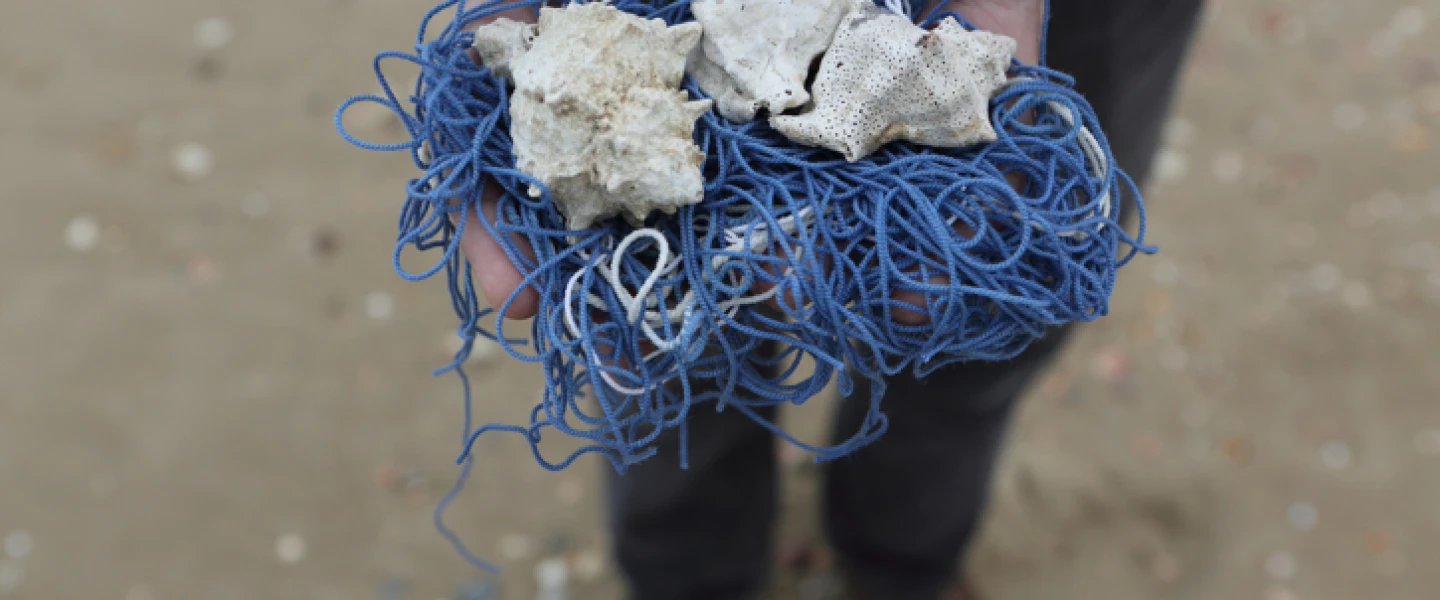 Dr. Baruch Sterman holds the strings of a blue satin worm from which the tzitzit frills are made on the beach in Tel Aviv, March 23, 2014. Photo by Yaakov Naumi/Flash 90.