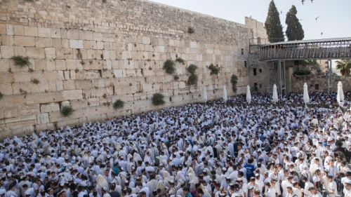 Jewish men pray at the Western Wall in Jerusalem Old City during Yom Yerushalayim (Jerusalem Day), June 2, 2019. Photo by Yonatan Sindel/Flash90.