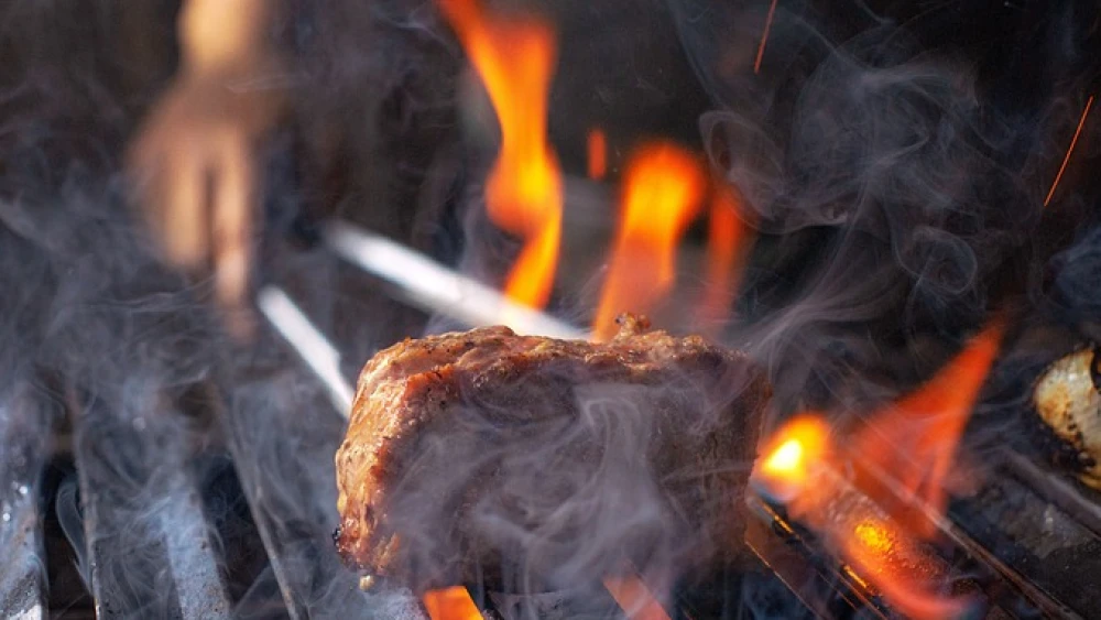 Grilled meat. Credit: Pixabay.