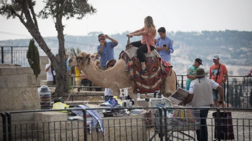 Tourists take pictures as a man gets a ride on a camel at the lookout of the Mount of Olives overlooking the Old City of Jerusalem on Oct. 11, 2018. Photo by Hadas Parush/Flash90.