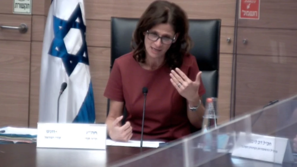Blue and White Party Knesset member Michal Cotler-Wunsh chaired the special meeting of the Subcommittee on Israel-Diaspora Relations. Source: Screenshot.