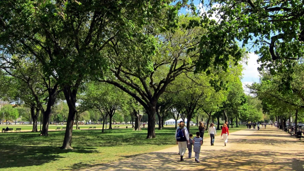 National Mall Walkway in Washington, DC