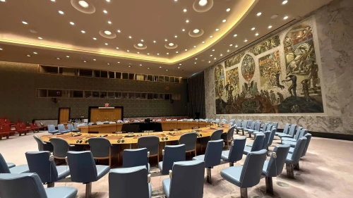 United Nations Security Council UNSC