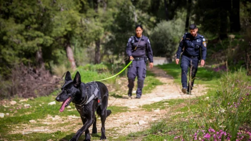 Israeli police seen during a search for 9-years-old Hymanut Kasau, at a forest in the northern Israeli city of Safed, March 10, 2024. Photo by David Cohen/Flash90.