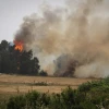 View of a fire raging in near the Ben Shemen Forest on May 23, 2019. Photo by Flash90.