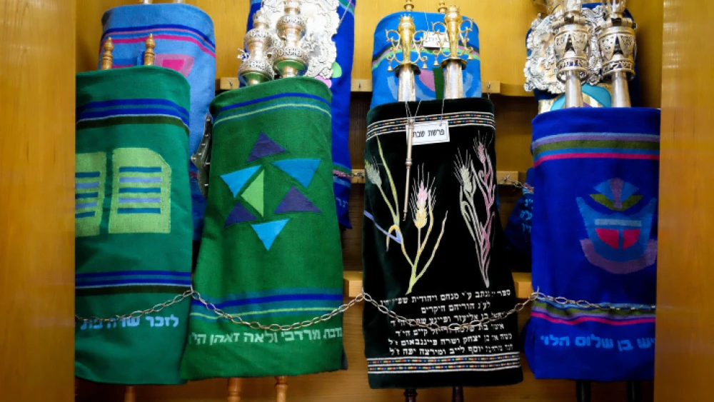 A Torah ark, containing the Torah scrolls, in a synagogue in Efrat. June 10, 2016. Photo by Gershon Elinson/Flash90.