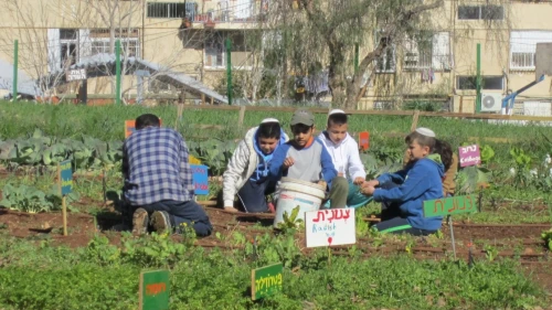 Renewal in Jerusalem's Kiryat Menachem neighborhood, helped by urban kibbutz Reishit. Credit: World Center for Jewish Education.