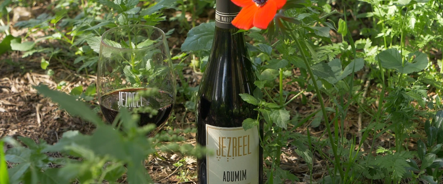 Jezreel Valley's Adumim wine. Credit: The Israel Innovation Fund.