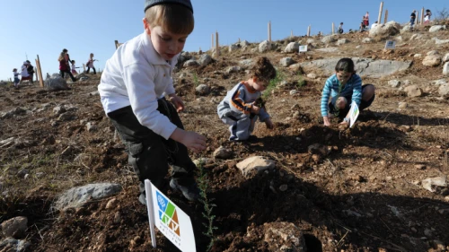 Israeli children plant trees for the holiday of Tu B'Shevat. Photo by Gili Yaari/Flash90.