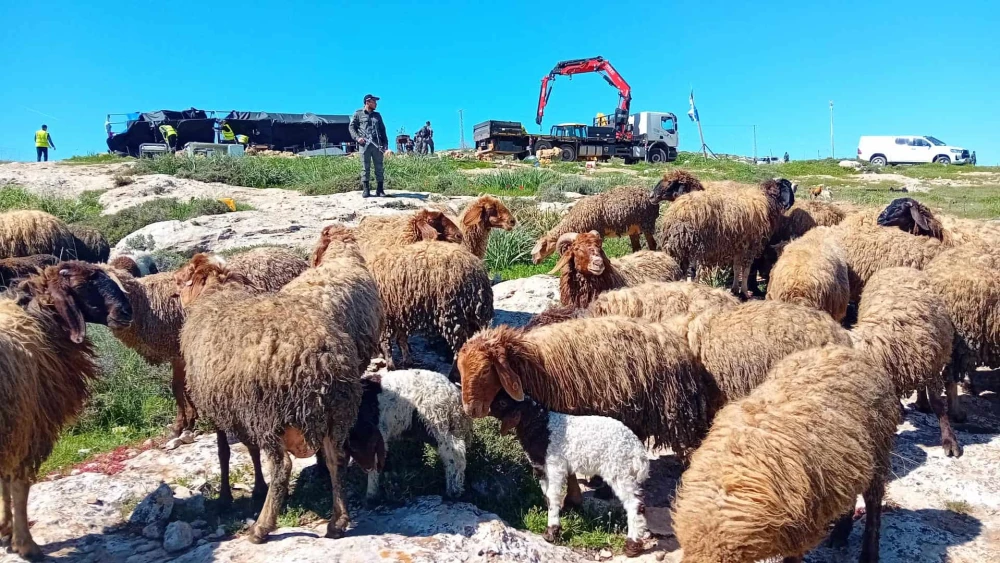 Givat Sde Yonatan, an outpost near Ma'ale Michmash in the Binyamin region of Samaria, was dismantled by Israeli security forces on Feb. 29, 2024. Credit: Elisha Yered/X.