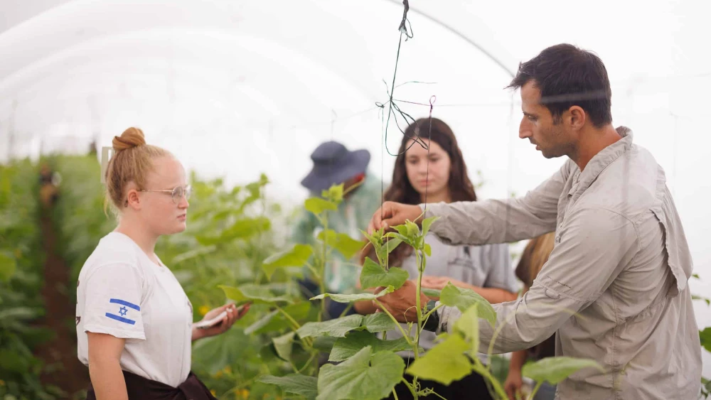 Jewish National Fund USA Offers Volunteering Opportunities In Israel jewish-national-fund-usa-offers-volunteering-opportunities-in-israel