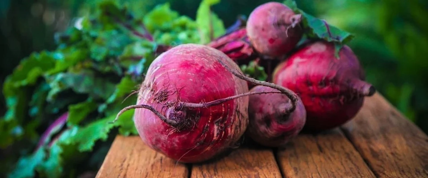 Beets: A Passover staple. Credit: Pixabay.