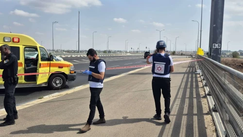 Magen David Adom medics and paramedics at the scene of a shooting on Highway 4 near Yavne in central Israel on Oct. 15, 2024. Credit: MDA.