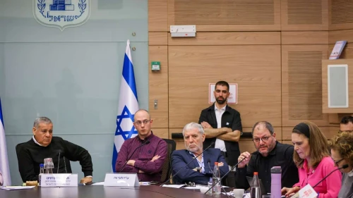 A joint session of the Knesset Foreign Affairs and Defense and Interior committees, March 4, 2024. Credit: Knesset Spokesperson's Office.