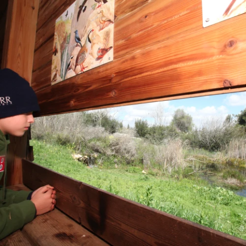 A child visits the Jerusalem Bird Observatory, which houses the Israel national bird-ringing center. Together with the active ringing station, it serves as a tool for conservation studies and research that monitor bird populations. Credit: Photo by Yossi Zamir/Flash90.