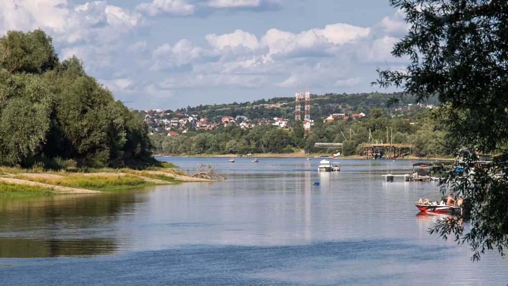 View of the Danube River near Rakovac, Serbia. Credit: Alexkom000 via Wikimedia Commons.