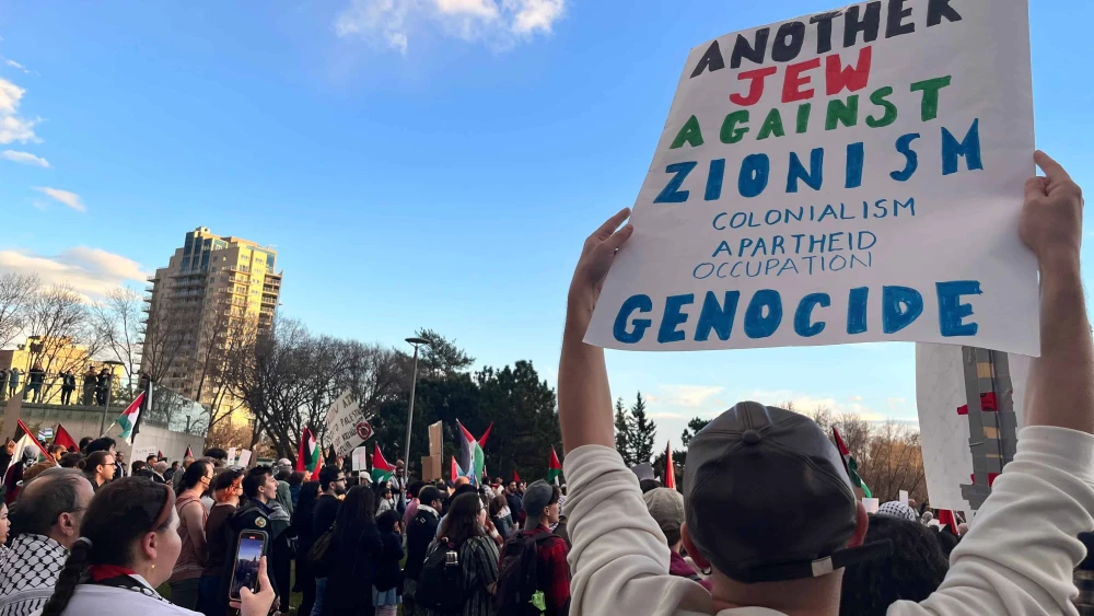 Anti-Zionism, Zionism Is Racism Sign