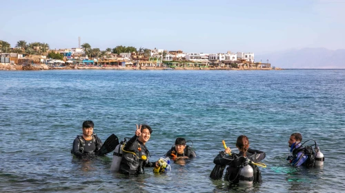Tourists dive at a beach in Dahab, in Egypt's Sinai Peninsula, on June 1, 2019. Photo by Yossi Aloni/Flash90.