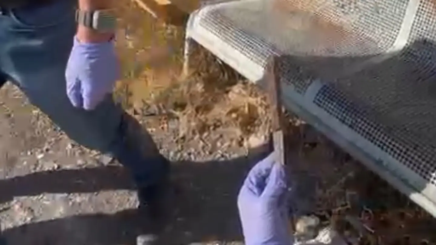 Palestinian teen arrested in Judea planned to stab IDF soldier, police say