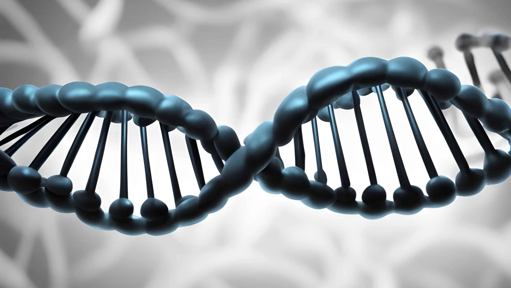 DNA double helix