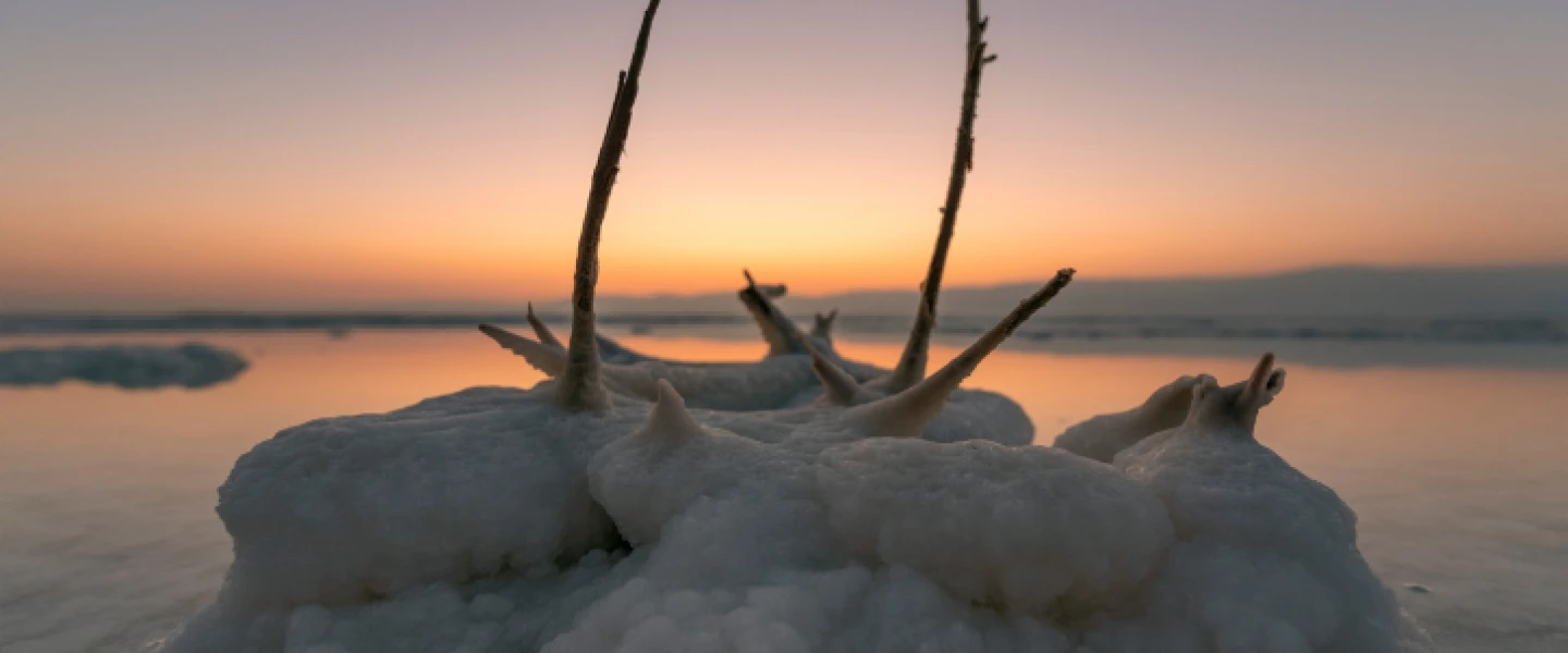 View of salt formations on the Dead Sea shore, July 7, 2020. Photo by Mila Aviv/Flash90.