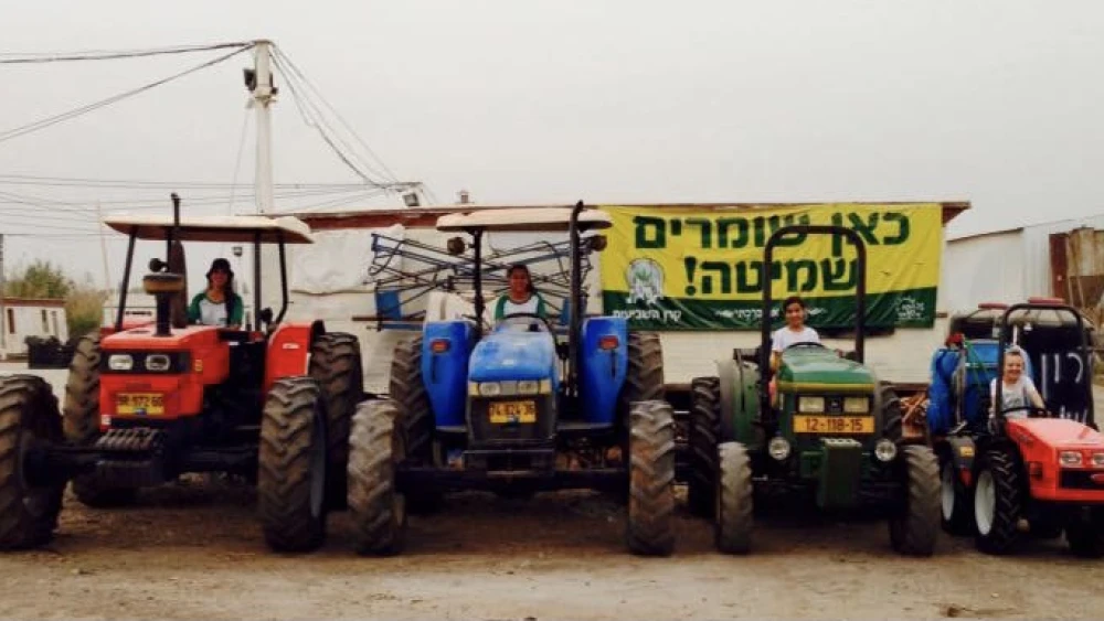 The Toweg children gearing up at the end of the “shmita” year last time around. Credit: Courtesy.