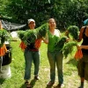 Staff and participants of the Adamah Jewish farming program wash the harvest in Falls Village, Conn., in 2010. Credit: Courtesy of Hazon.