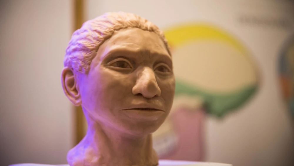 A reconstruction of what an ancient Denisovan female head may have looked like according to researchers from the Hebrew University, on display during a press conference at the Hebrew University on Sept. 19, 2019. Photo by Yonatan Sindel/Flash90.