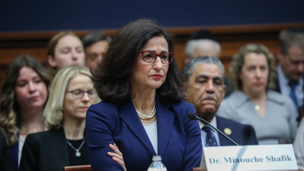 Minouche Shafik