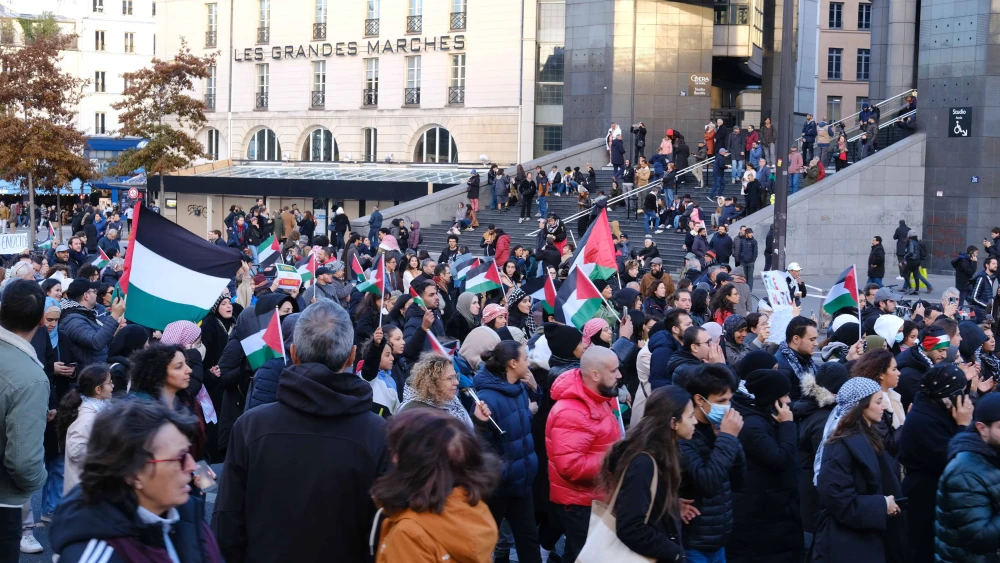 Pro-Palestinian Rally in France