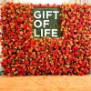 Gift of Life